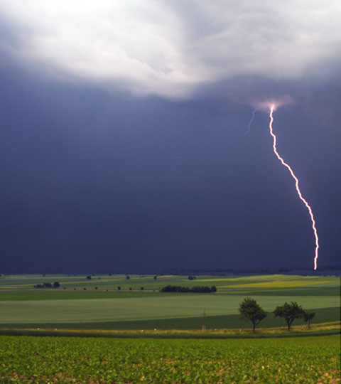 Tragedy_ILfarmland